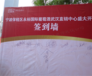 湖北武汉背景幕布 湖北武汉背景幕布