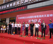 湖北武汉背景幕布 湖北武汉背景幕布