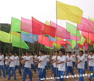 湖北武汉彩旗帜订制制作厂家 湖北武汉彩旗帜订制制作厂家